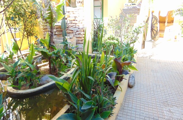 A garden with a water feature, various plants, and a stone wall.