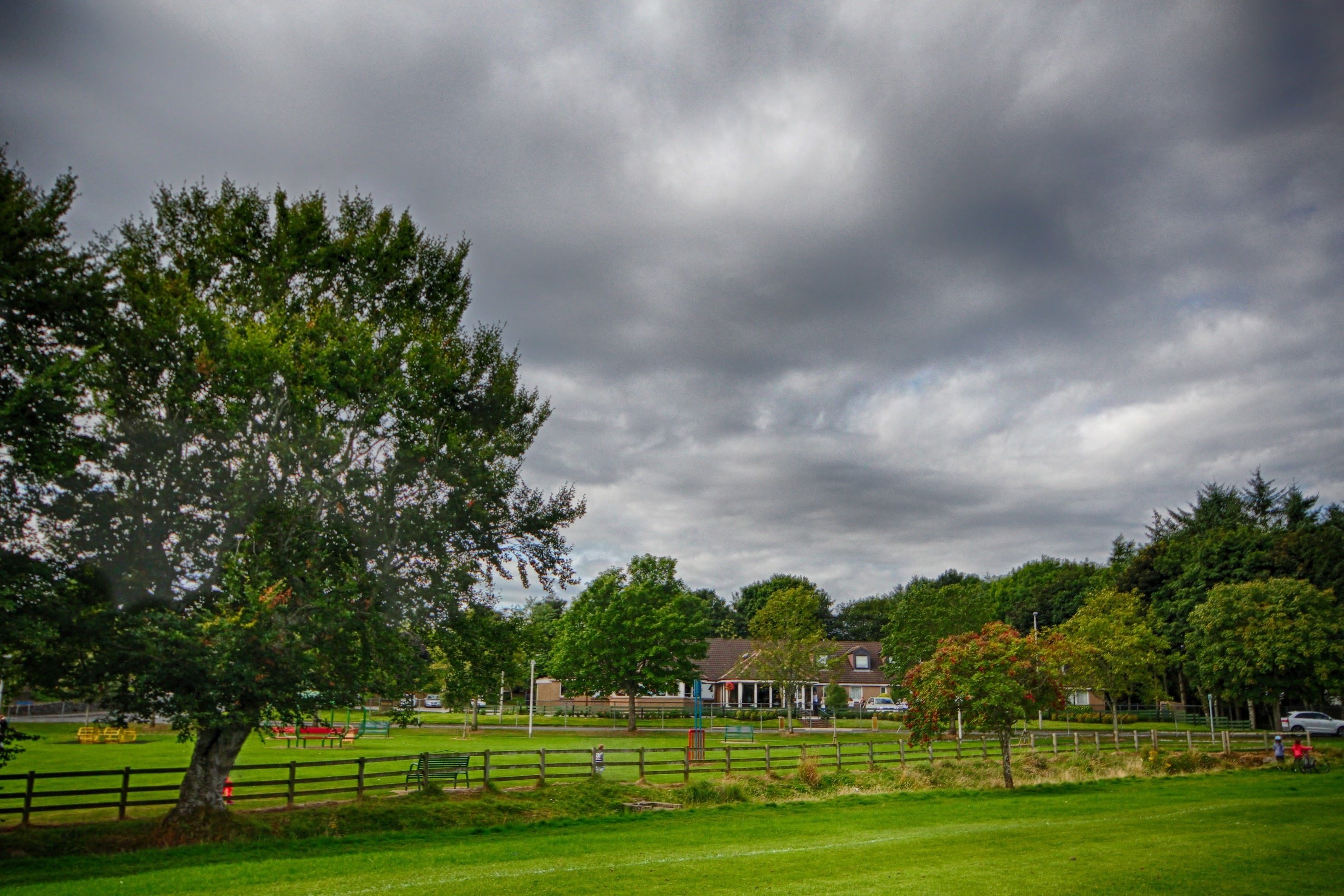 A park with a large tree, a fenced area, and a building in the background.