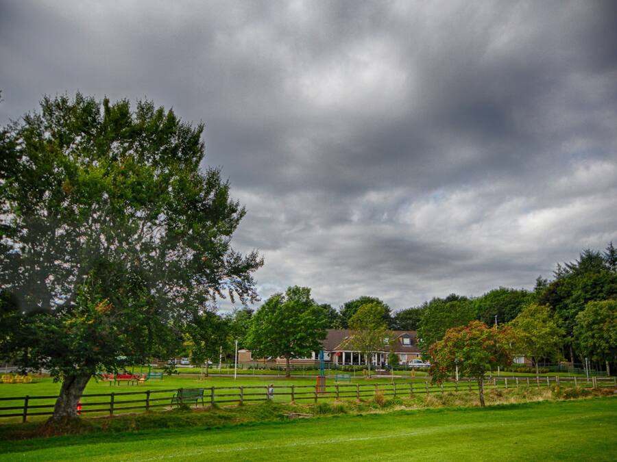 A park with a large tree, a fenced area, and a building in the background.