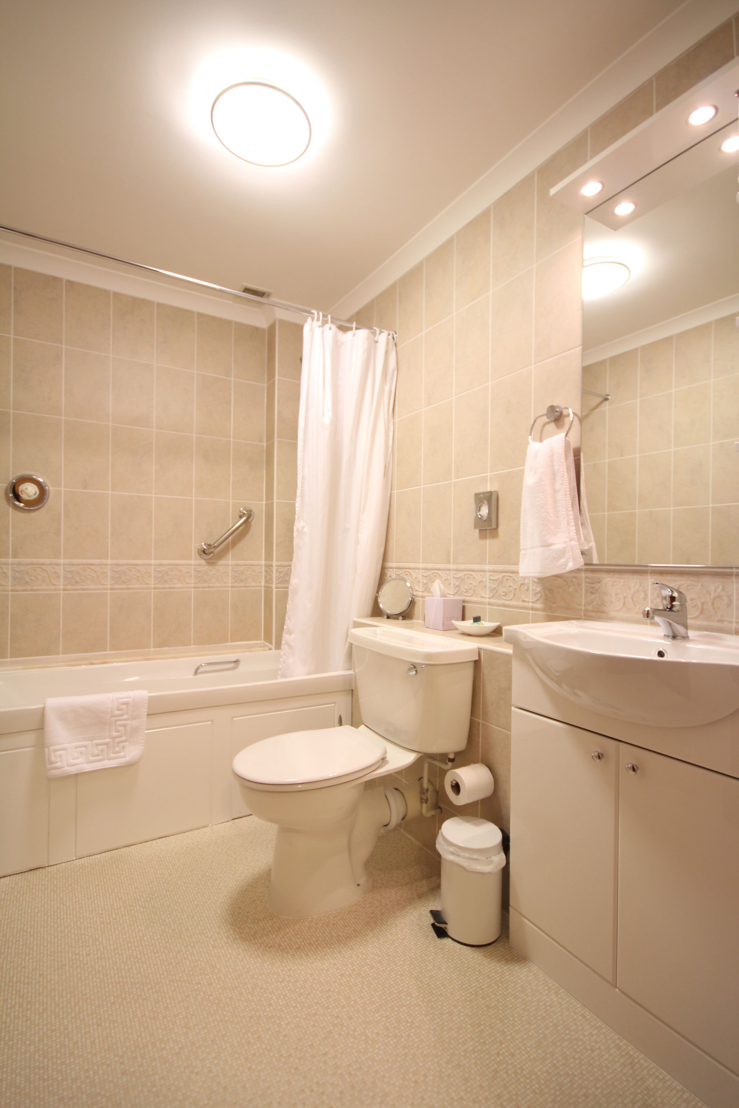 combined shower/bathtub, free toiletries, hair dryer, towels