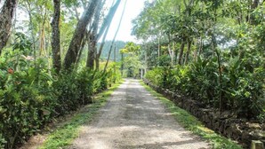 A dirt path flanked by dense vegetation and stone walls. - Plantation Villa Ayurveda Yoga Resort (Dodangoda)