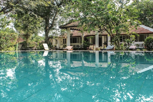 Outdoor pool, open 6:00 AM to 8:00 PM, pool umbrellas, sun loungers