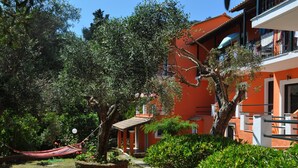 Property grounds - Sofia Apartments (Corfu)