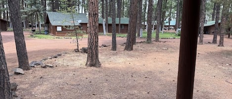 A campground with multiple cabins surrounded by tall pine trees.