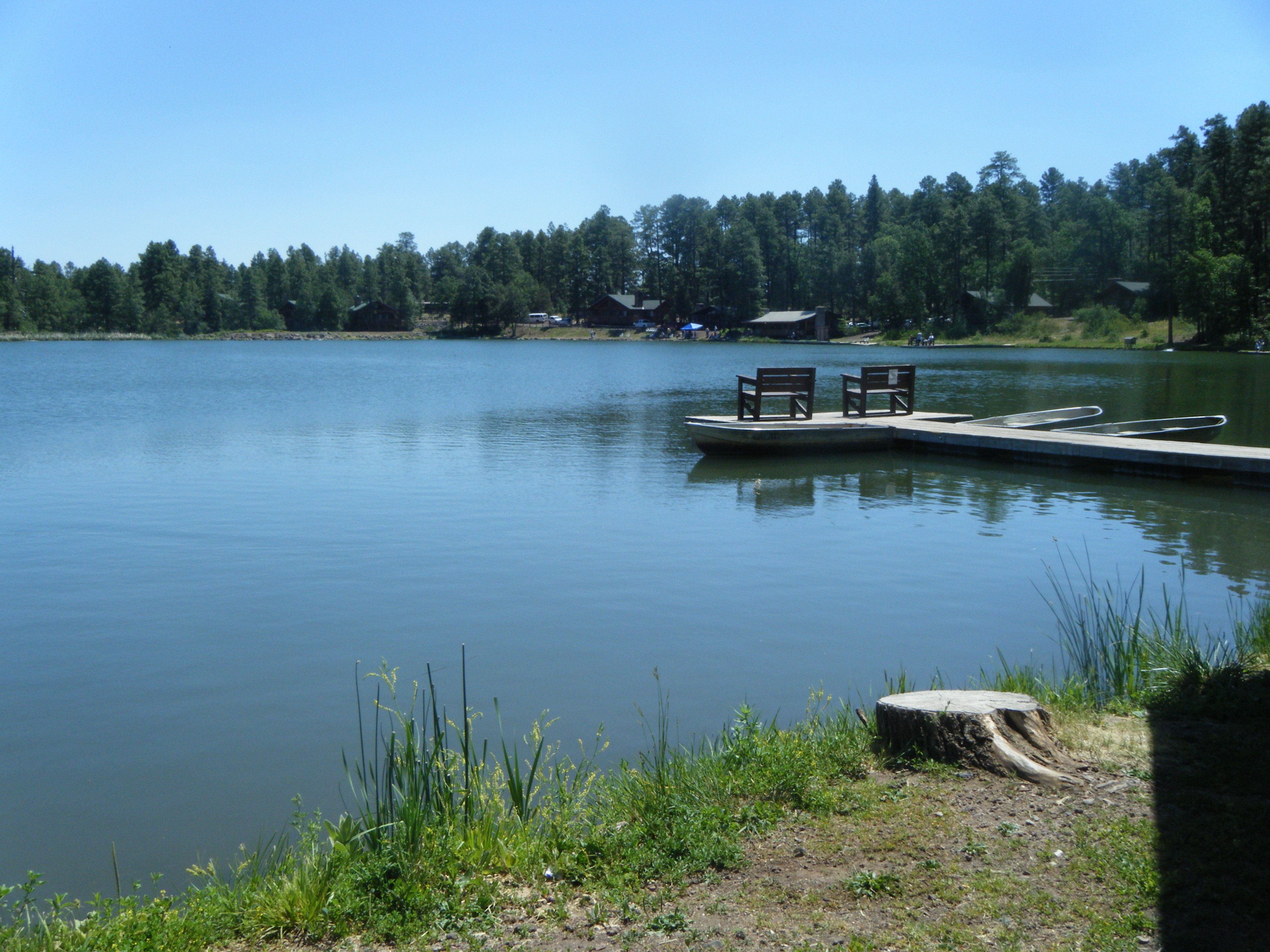 Un lago tranquilo con un muelle que se adentra en el agua, con dos bancos de madera.