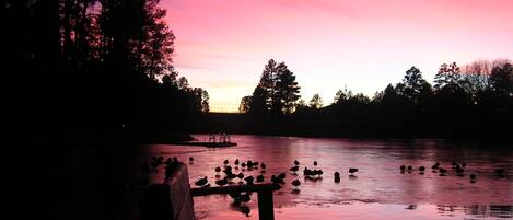 A wooden bench overlooking a calm lake with ducks, surrounded by trees and a sunset sky.