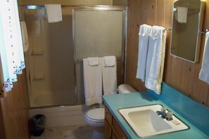 Ein Badezimmer mit Dusche, Toilette, Waschbecken und Spiegel.