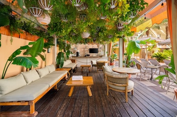 Poolside bar at The Plymouth South Beach