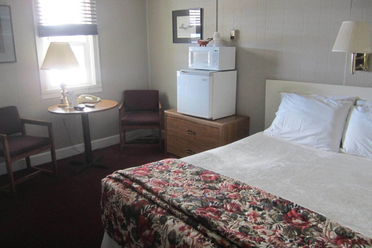 Quarto de hotel com cama, escrivaninha, cadeira, frigorífico e candeeiro.
