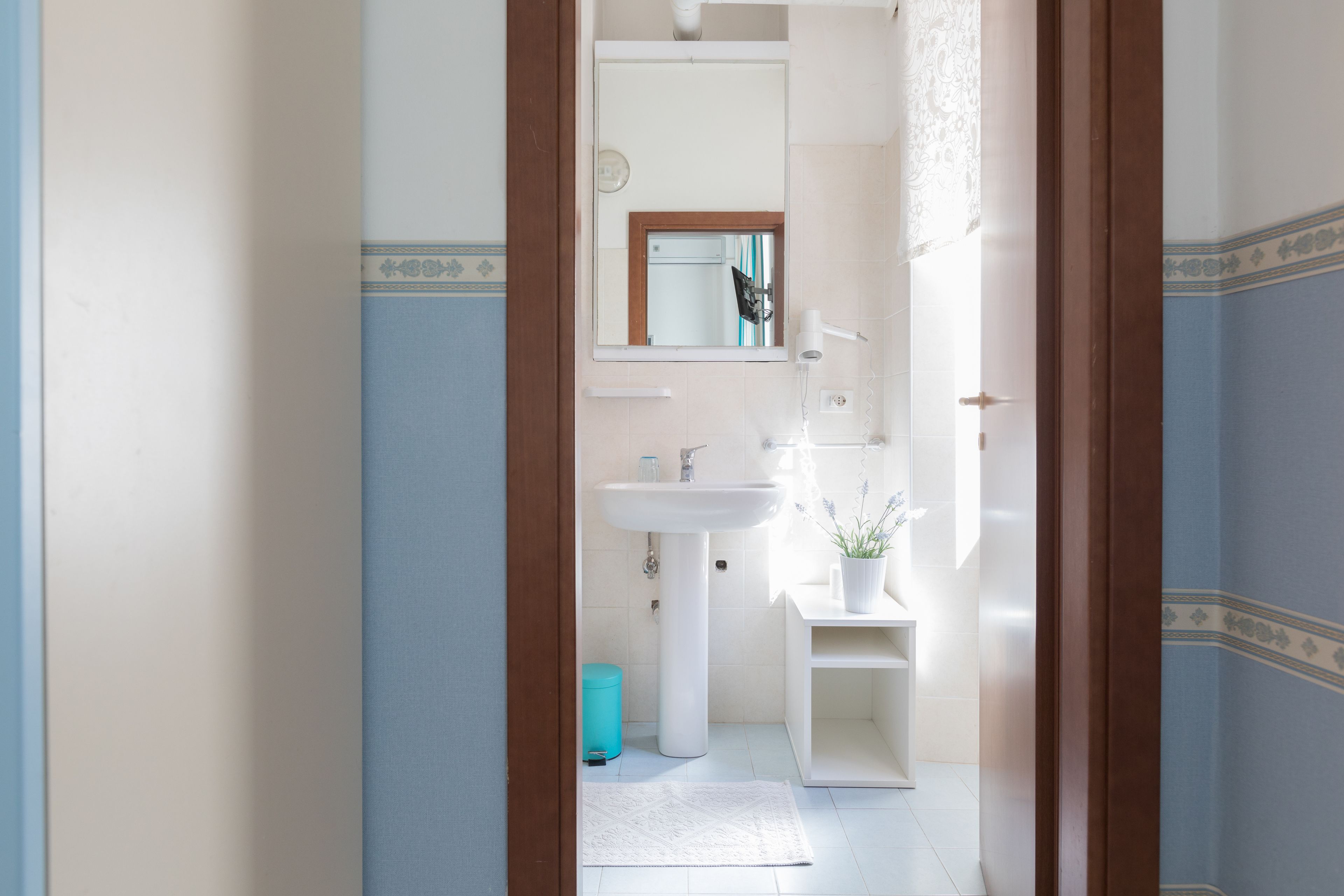 Un baño con lavamanos, espejo y planta en maceta.
