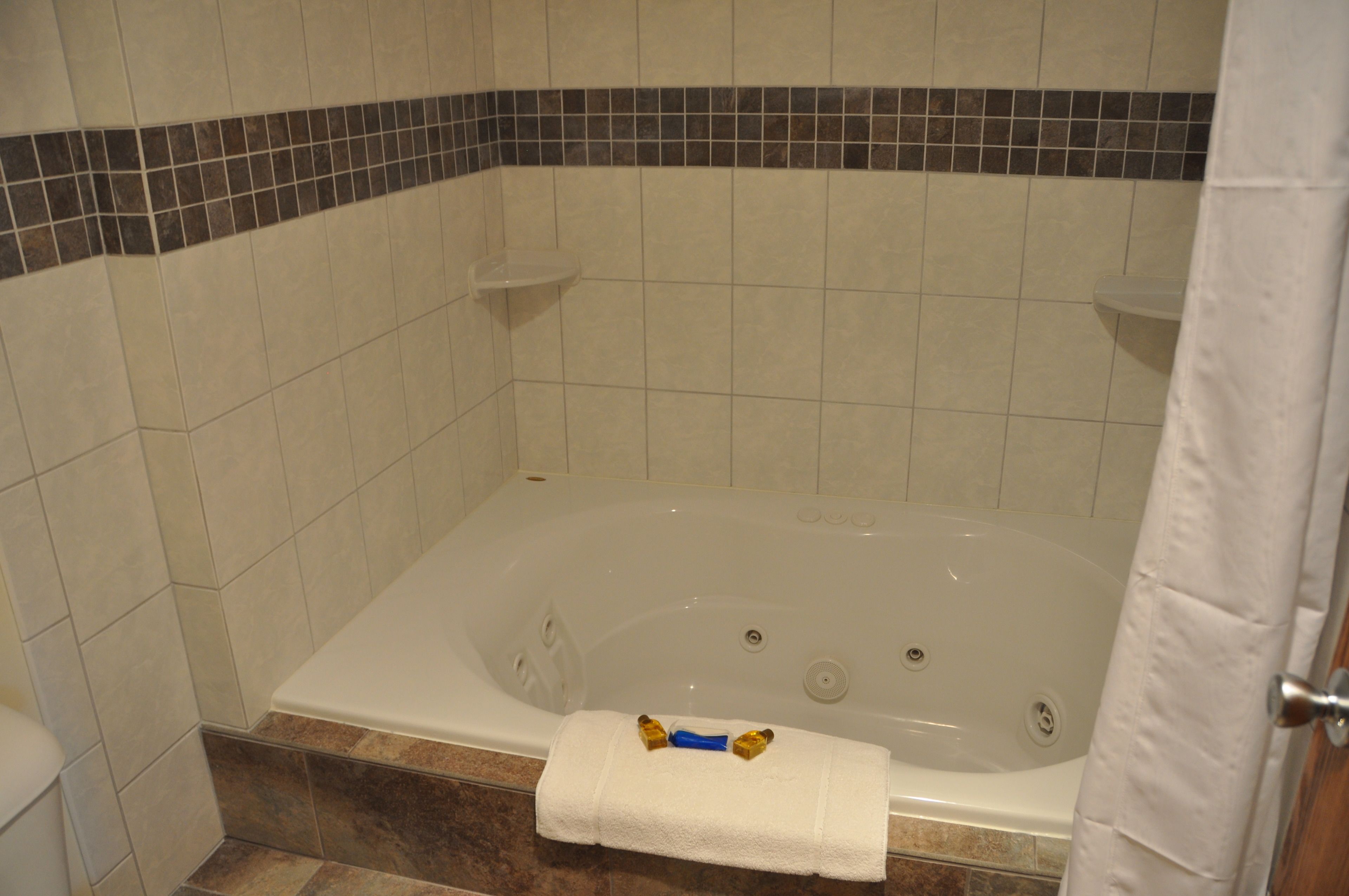 luxury suite, 1 queen bed with sofa bed, kitchen | bathroom | combined shower/bathtub, free toiletries, hair dryer, towels