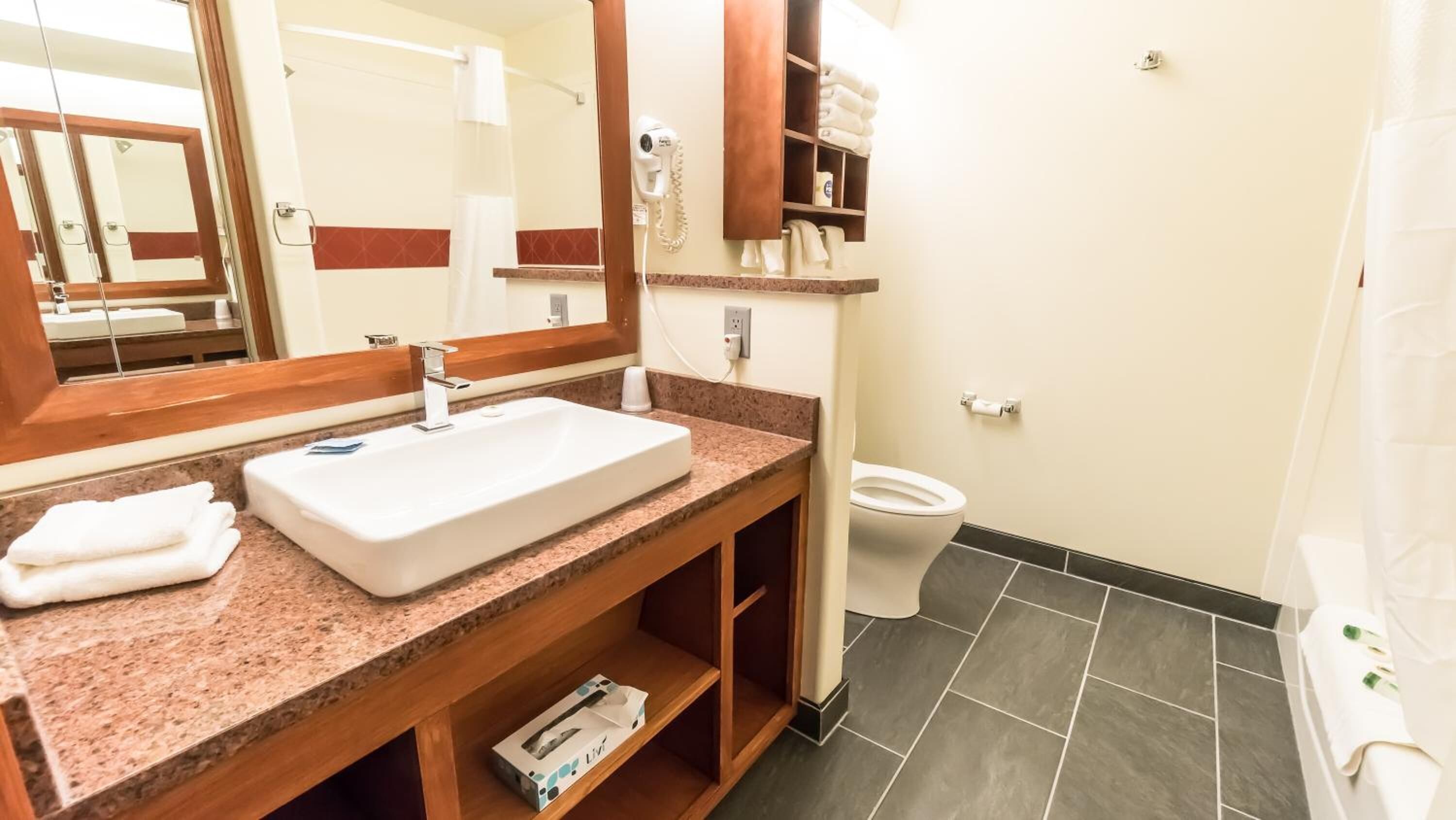 combined shower/bathtub, free toiletries, hair dryer, towels