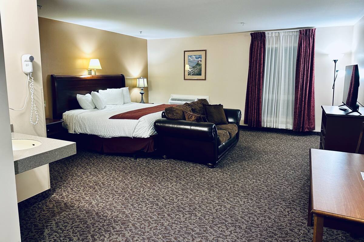 Habitación de hotel con cama, escritorio, silla, televisor, lámpara, un cuadro y teléfono.