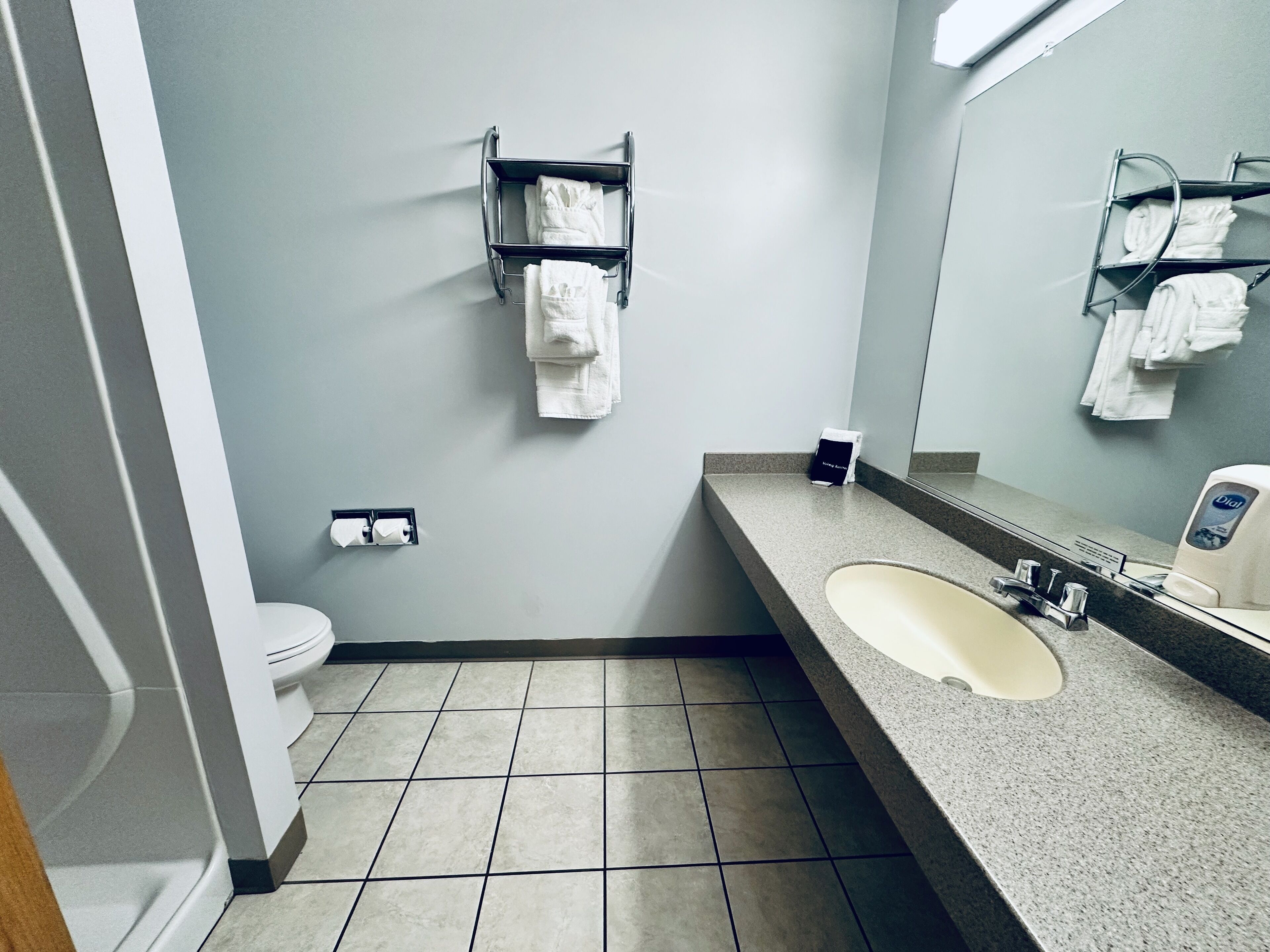 free toiletries, hair dryer, towels, soap