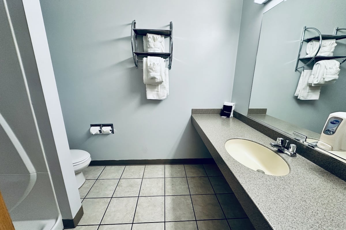 free toiletries, hair dryer, towels, soap