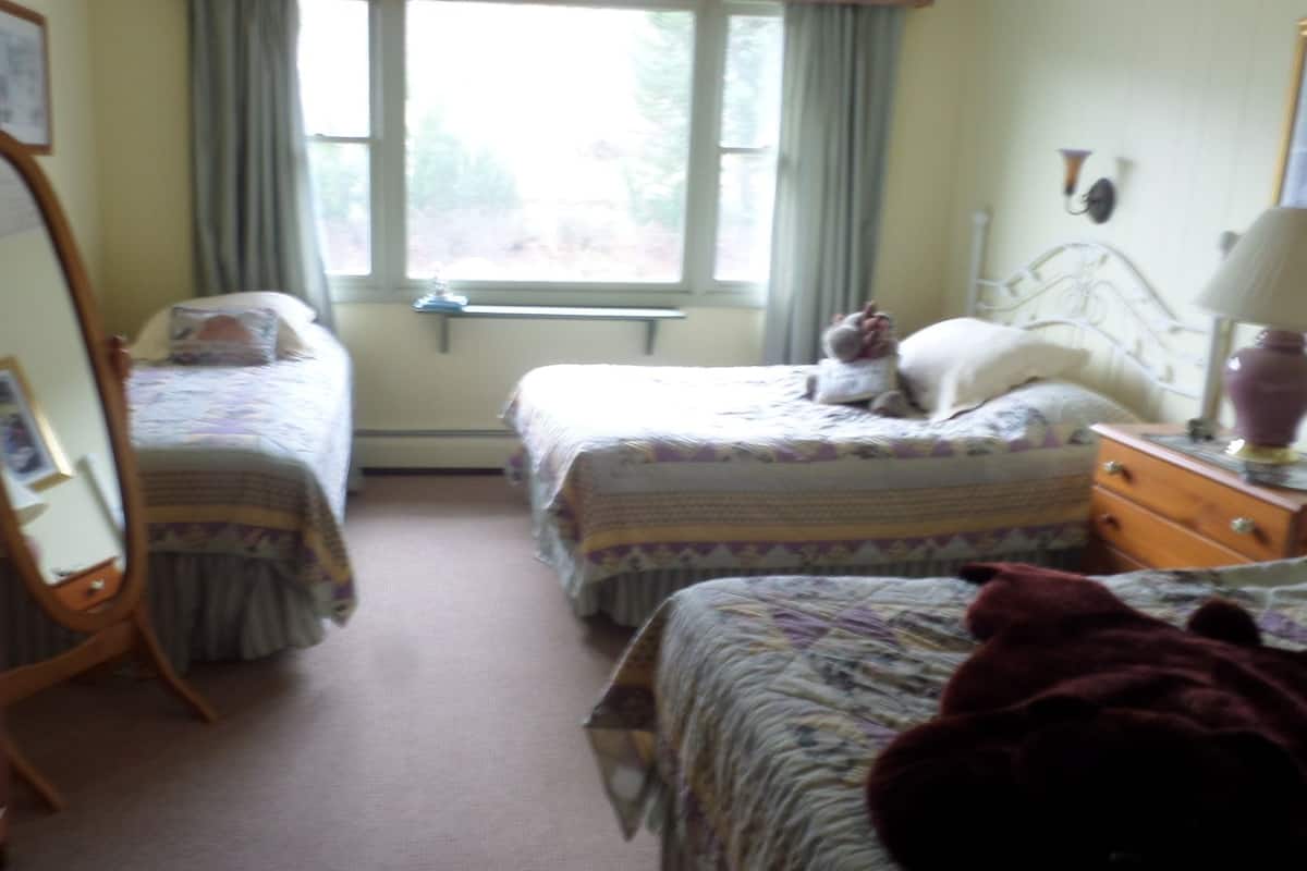 A bedroom with two beds, a dresser, a mirror, and a window with curtains.