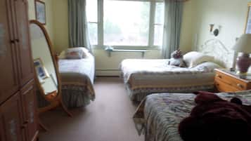 Iron/ironing board, free WiFi