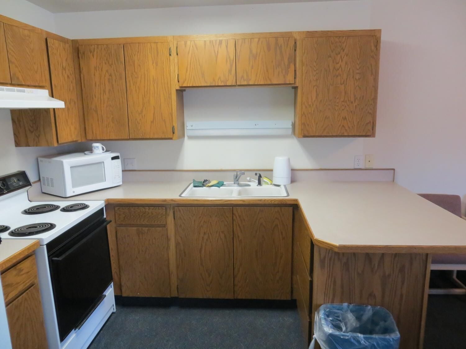 Apartment, 1 Queen Bed with Sofa bed, Non Smoking, Kitchen | Private kitchen | Fridge, microwave
