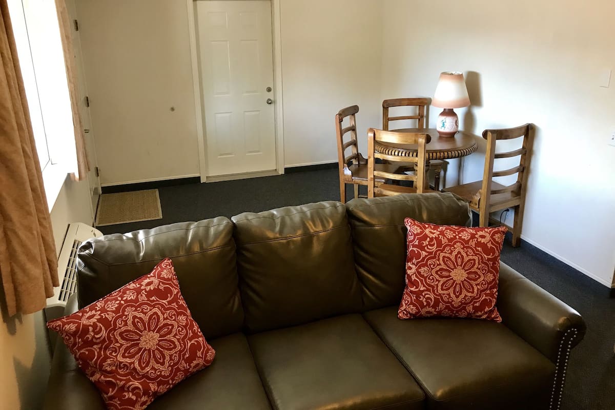 Un salon avec un canapé en cuir marron, deux coussins à motifs, une table à manger en bois avec des chaises et une porte blanche.
