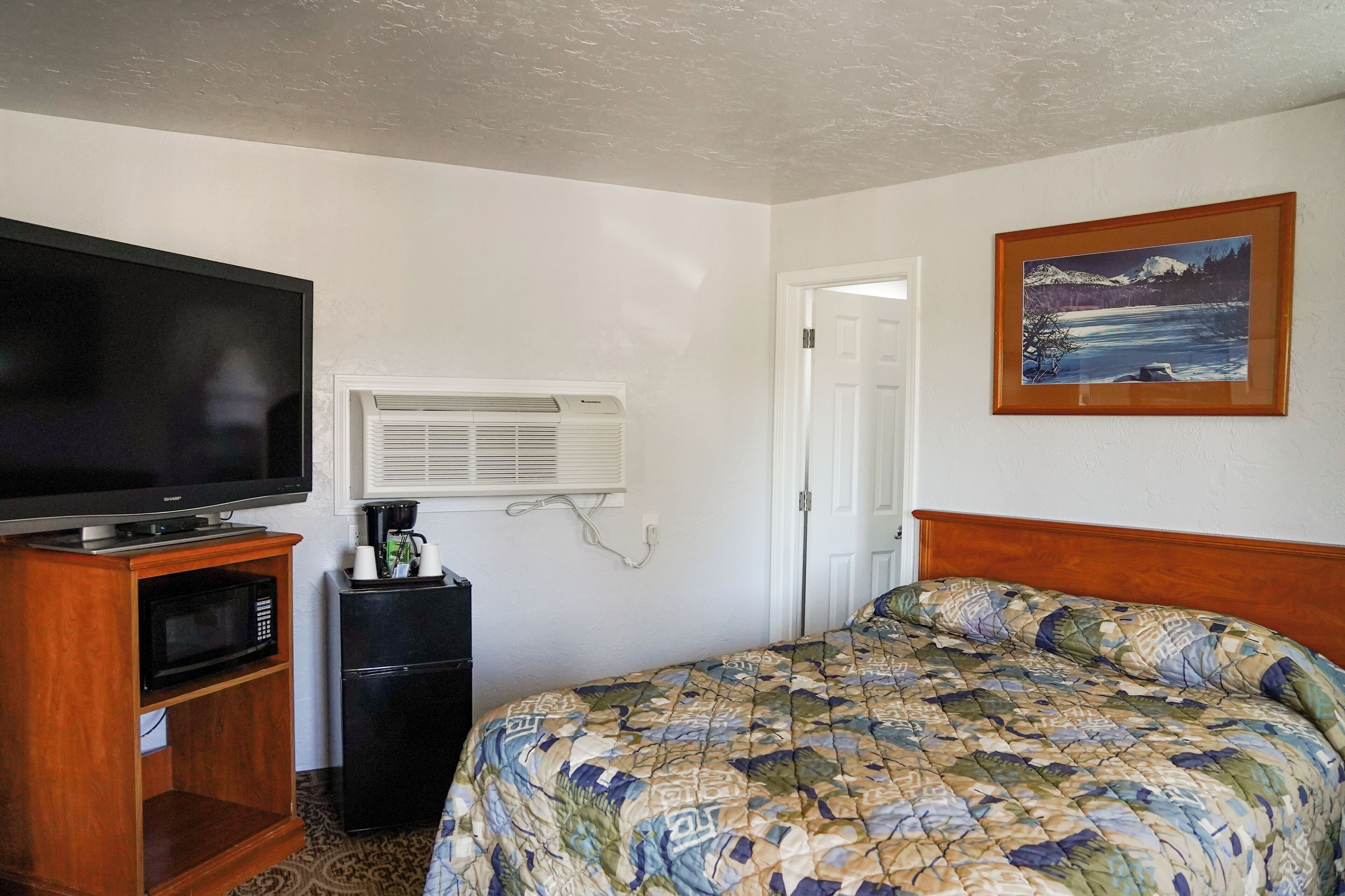 A hotel room with a bed, a television, a microwave, and a refrigerator.