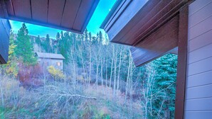 Unclassified image, 4 of 37, button - Storm Meadows Townhomes by Retreatia (Steamboat Springs)