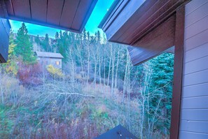 Condo, 4 Bedrooms | View from property - Storm Meadows Townhomes by Retreatia (Steamboat Springs)