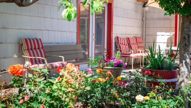 Un patio con dos sillas a rayas y un banco, rodeado de macetas con plantas y flores.