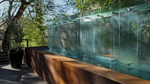 A glass-enclosed water feature with a metal bench and a potted plant. - Frame Hotel - Treehouse (Austin)