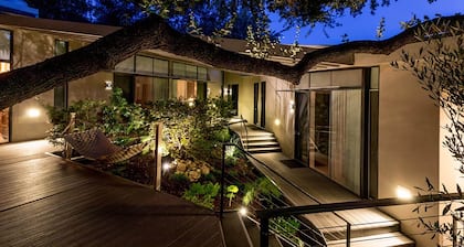 Frame Hotel - Treehouse