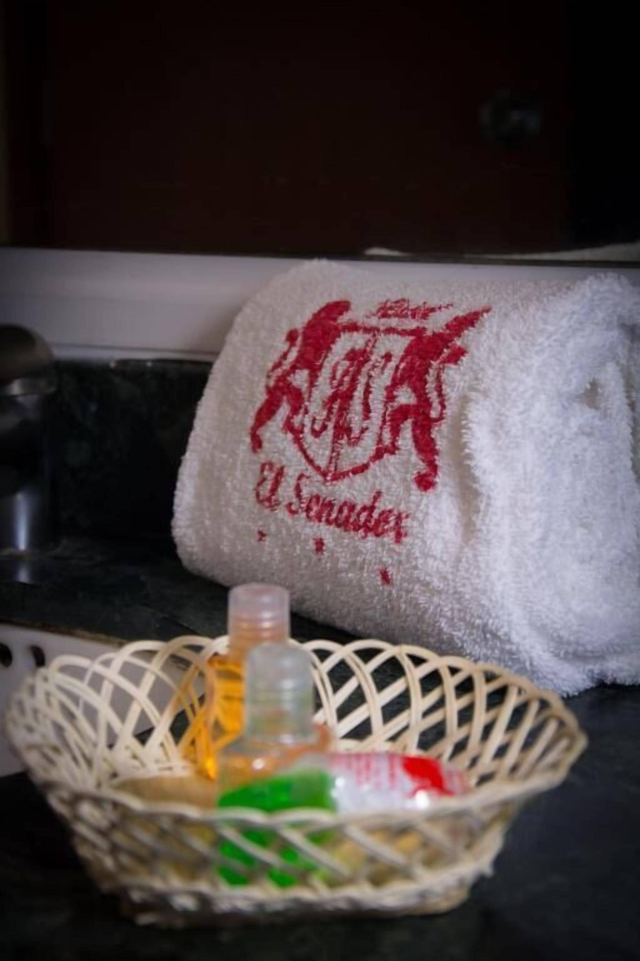 Foto - Hotel El Senador