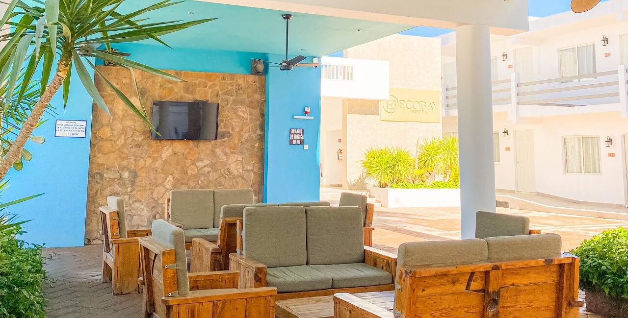 Televisión de pantalla plana y reproductor de DVD 