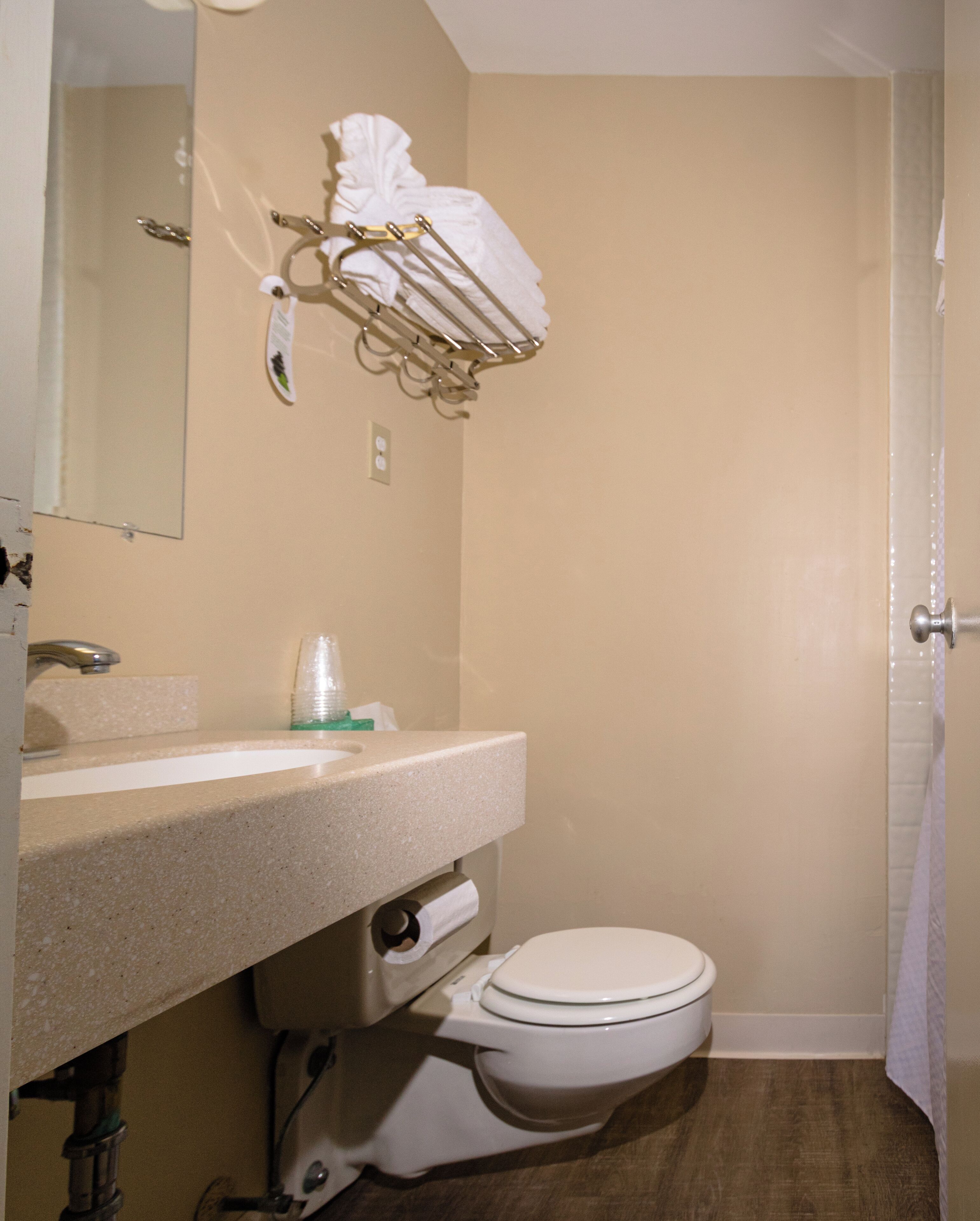 Un baño con lavamanos, espejo, toallero, inodoro y cortina de ducha.