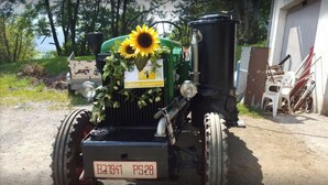 Ein alter Traktor mit Sonnenblumen-Dekoration, einem schwarzen zylindrischen Tank und einem Nummernschild BJ1941 PS28.