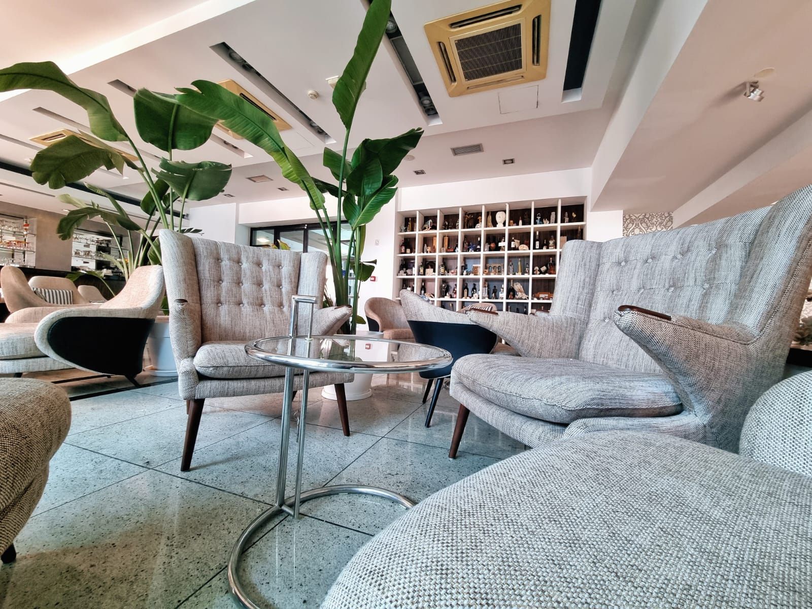 A modern living room with tufted armchairs, a glass coffee table, and a large plant.