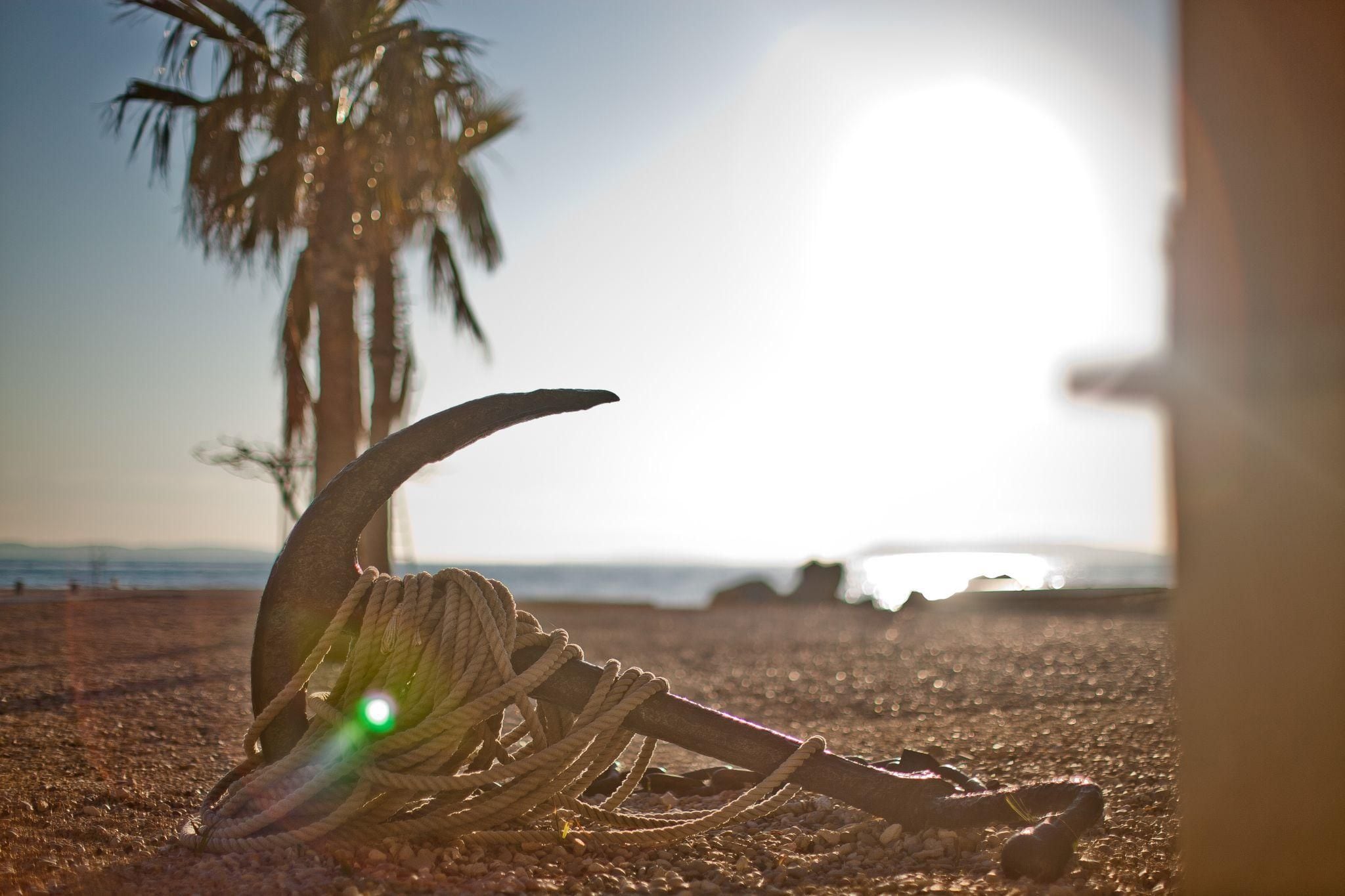 A beach scene with a large shell and a palm tree.