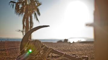 A beach scene with a large shell and a palm tree.