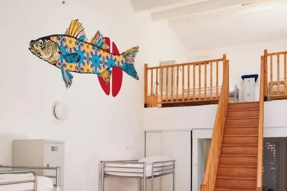 Une chambre de dortoir avec des lits superposés, un escalier en bois, un bureau avec une chaise et une fresque colorée représentant des poissons sur le mur.