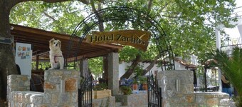 Zachos