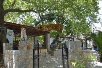 Zachos