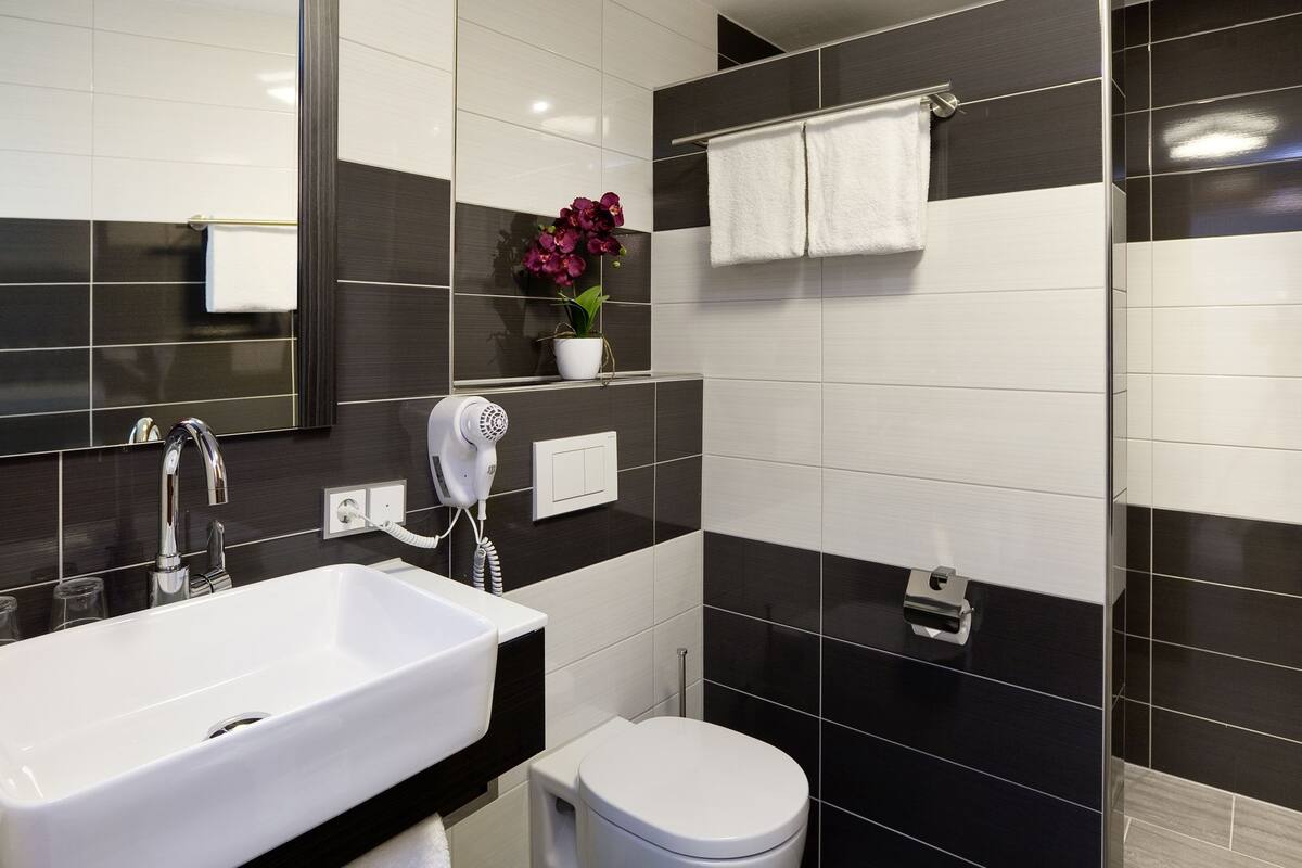 hair dryer, towels, soap, shampoo