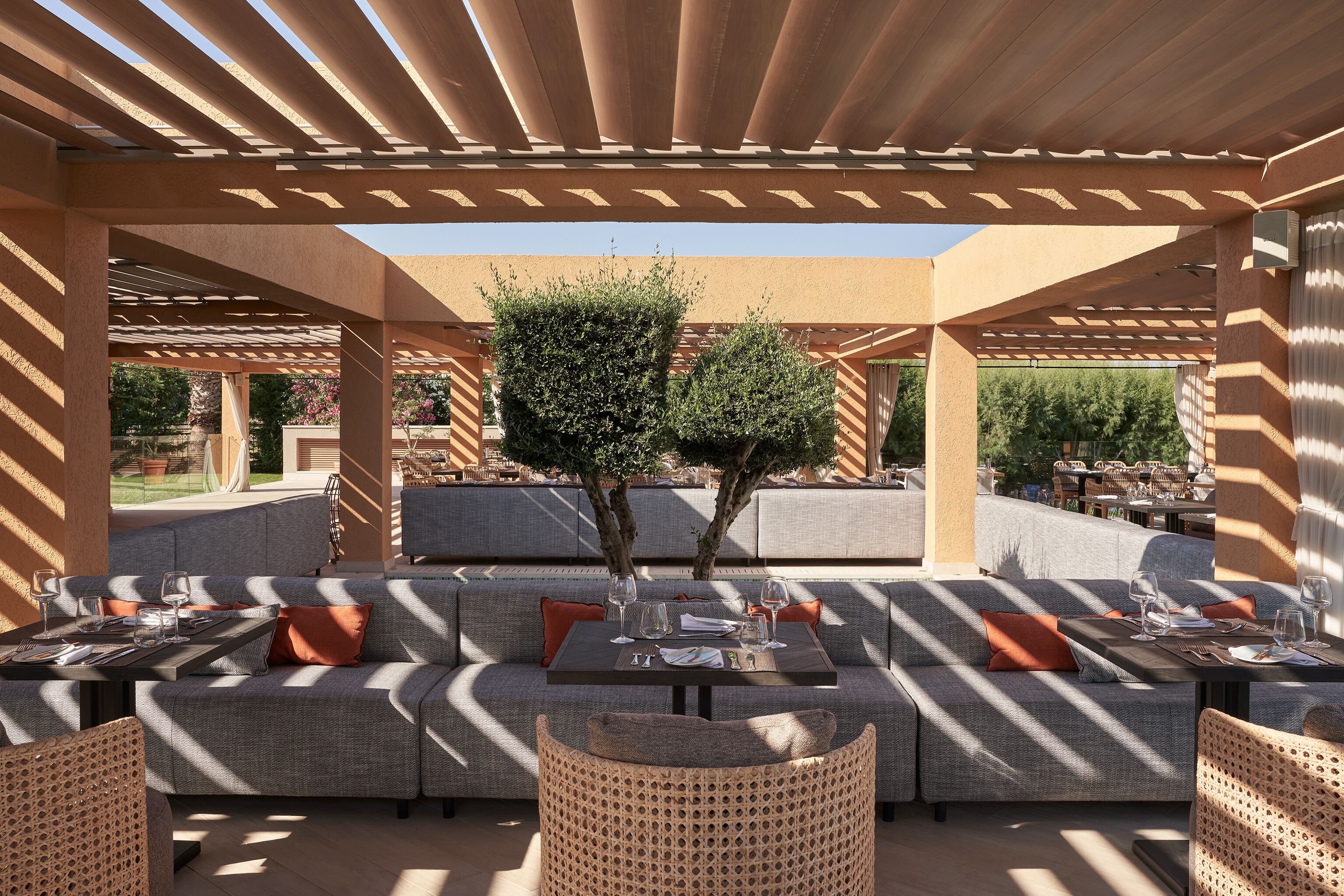 An outdoor seating area with sofas and tables, shaded by a pergola, and a small tree in the center.