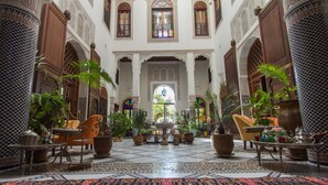A spacious lobby with a patterned carpet, multiple seating areas, and potted plants. - Riad Norma (Fes)