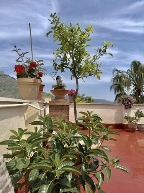 Property grounds - Inn Piero (Taormina)
