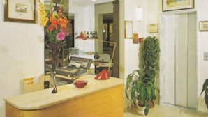 A reception area with a wooden counter, a desk with a computer, a telephone, and a potted plant. - Abay (Rimini)