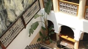 Un’area piscina con una piccola vasca, una pianta in vaso e un solarium piastrellato.