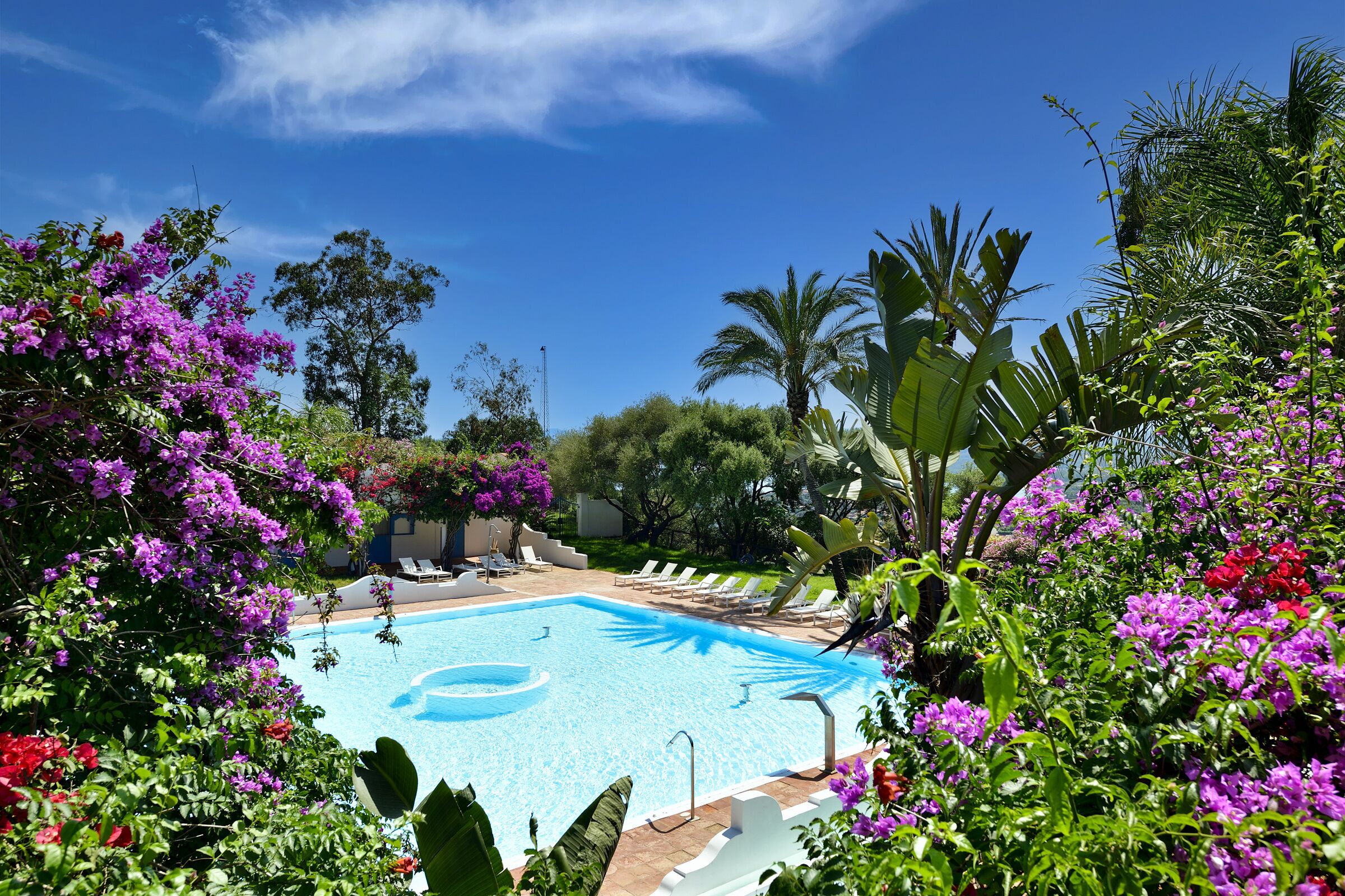 Ein Pool, umgeben von üppigem Grün und violetten Blumen.