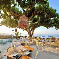 Un espacio al aire libre con mesas y sillas, un árbol grande y vistas al mar.