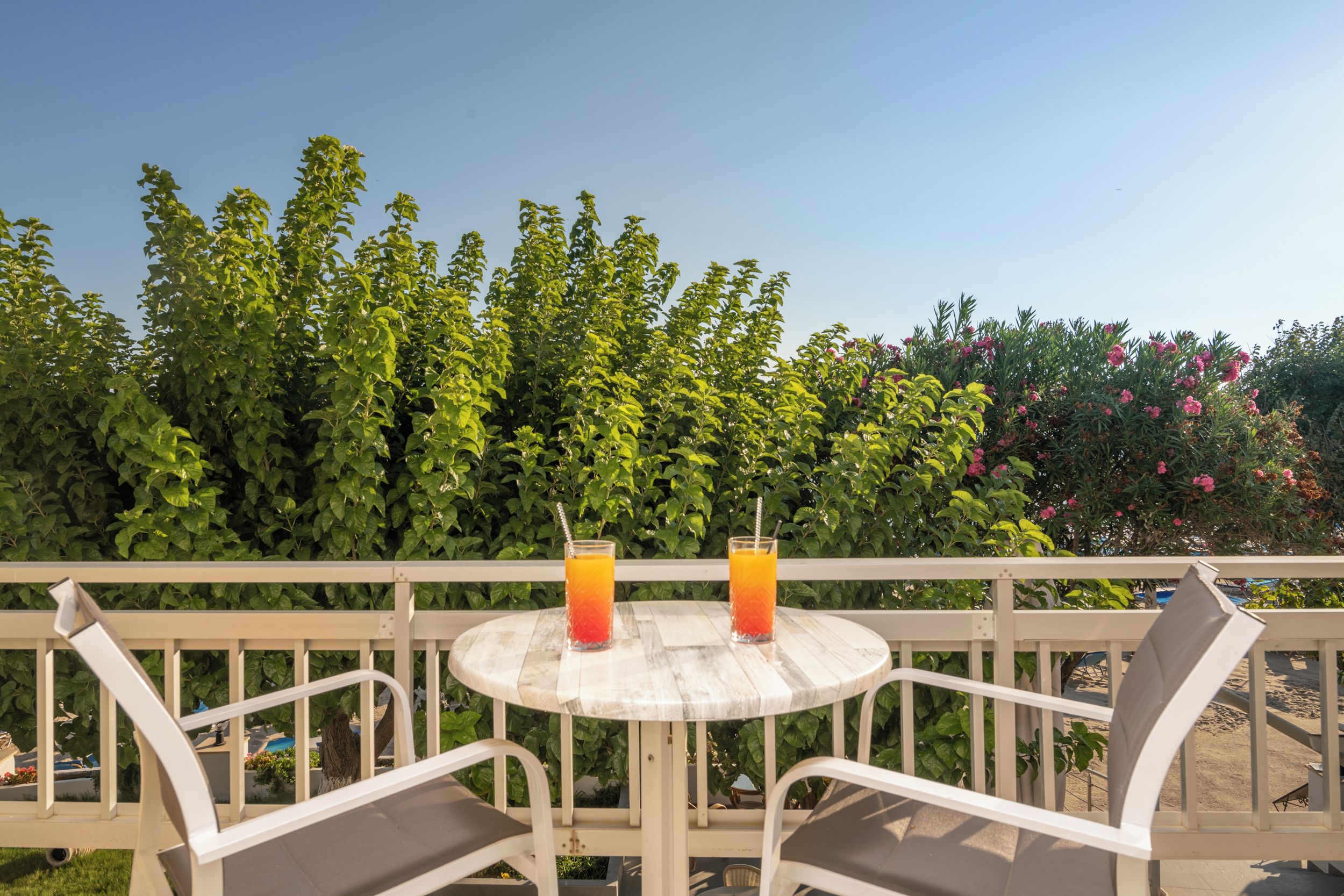 A round table with two glasses of orange beverage, surrounded by white chairs, set against a backdrop of green foliage and pink flowers.
