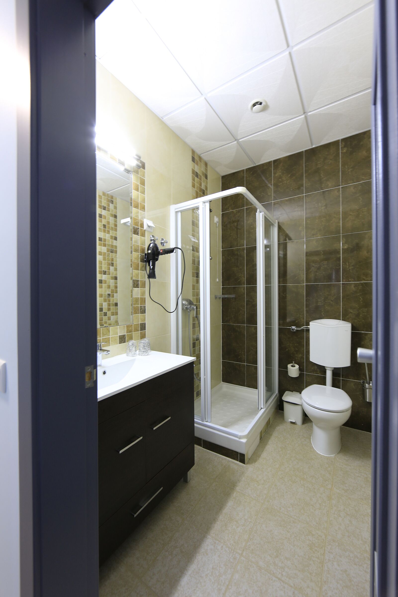 A modern bathroom with a glass-enclosed shower, a white toilet, and a vanity with a mirror.