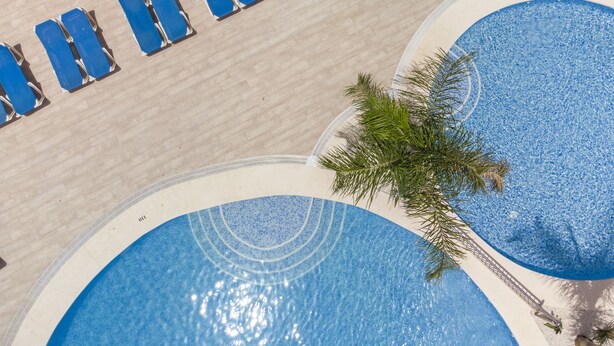 En vy från ovan över ett poolområde med blå solstolar uppställda i rader och en palm som står nära poolen.